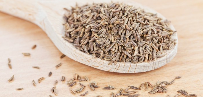 Caraway Herbs